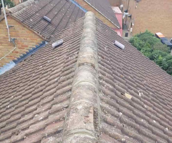 This is a photo of a roof ridge that has just been re-bedded, work carried out by BMT Roofing Wollaston